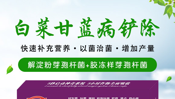 微生物肥-白菜甘藍(lán)病鏟除-瑞豐德 微生物肥-白菜甘藍(lán)病鏟除-瑞豐德