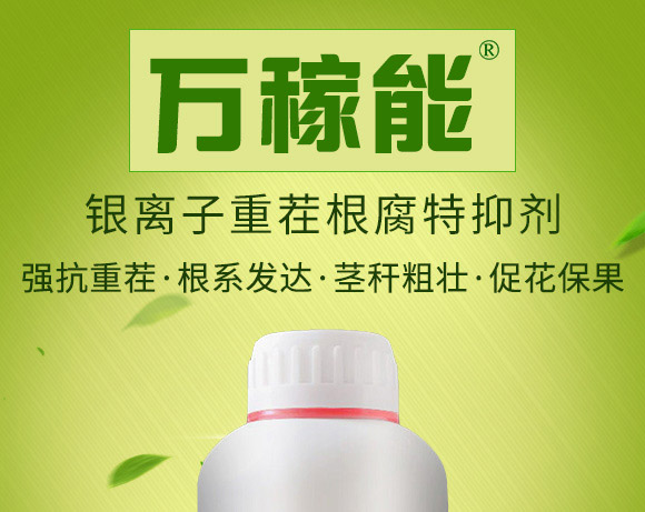 �y�x���ز�������ք�-�f����-Ǭ�r(n��ng)