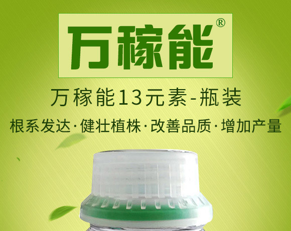 �f����13Ԫ�أ�ƿ�b��-Ǭ�r(n��ng)