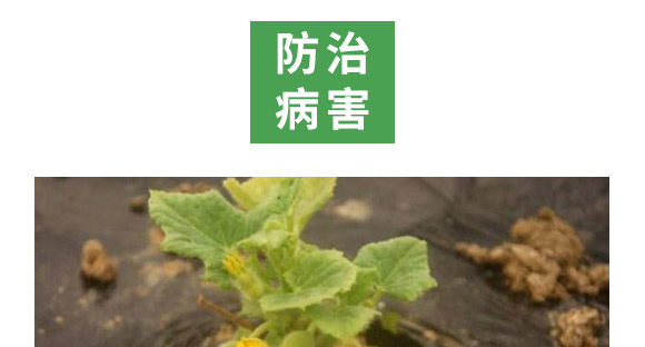 �f����13Ԫ�أ�ƿ�b��-Ǭ�r(n��ng)