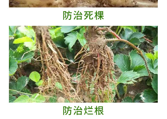 �f����13Ԫ�أ�ƿ�b��-Ǭ�r(n��ng)