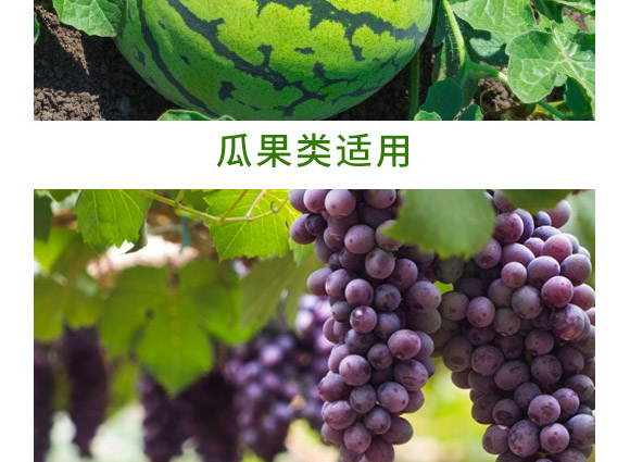 �f����13Ԫ�أ�ƿ�b��-Ǭ�r(n��ng)