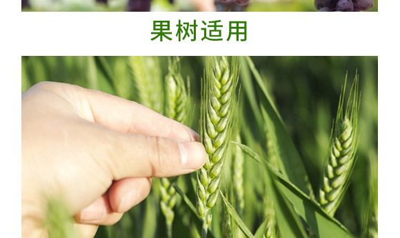 �f����13Ԫ�أ�ƿ�b��-Ǭ�r(n��ng)