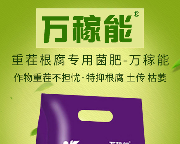 �ز������(zhu��n)�þ���-�f(w��n)����-Ǭ�r(n��ng)