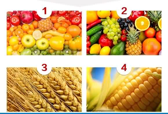 ����Ԫ��ˮ�ܷ���0-500-600+TE-�ֱ̃�(y��u)-������