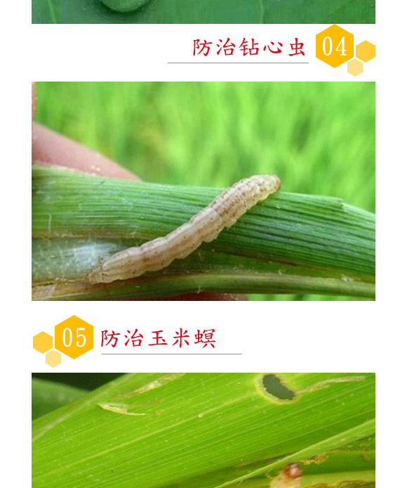 蘇云金桿菌懸浮劑-耕田人-潤(rùn)倍生物 蘇云金桿菌懸浮劑-耕田人-潤(rùn)倍生物