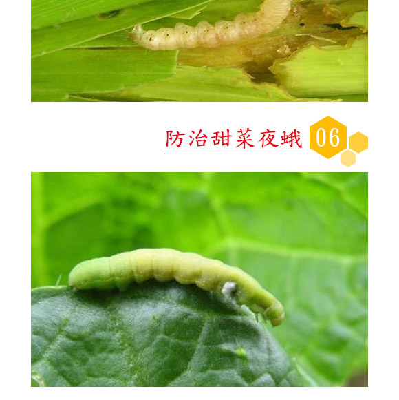 蘇云金桿菌懸浮劑-耕田人-潤(rùn)倍生物 蘇云金桿菌懸浮劑-耕田人-潤(rùn)倍生物