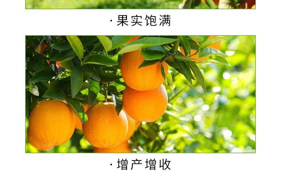 ȫ�a(b��)һ̖(h��o)-������-�����S