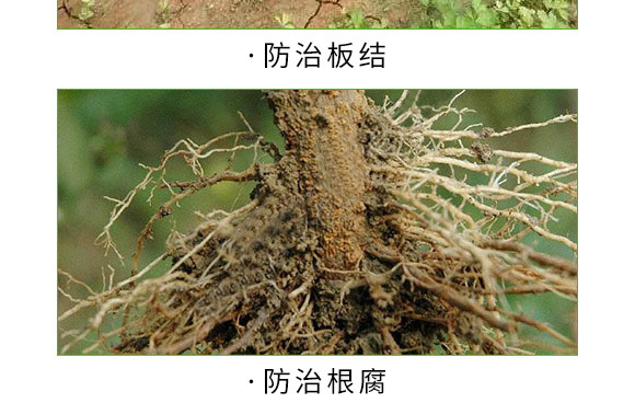 ����+�ך���-�����ʹ�-�����S