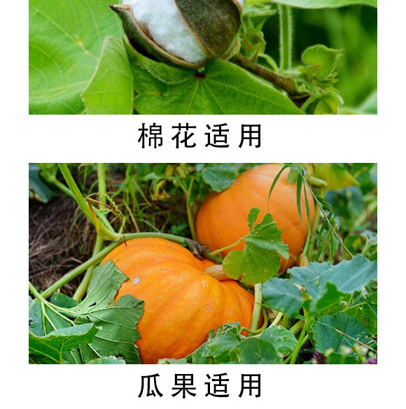 大量元素水溶肥-海法k-卡典-海法國(guó)際 大量元素水溶肥-海法k-卡典-海法國(guó)際