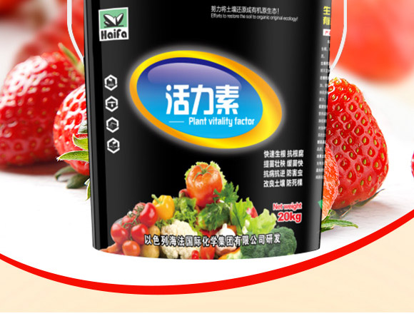 活力素-海法-海法國際