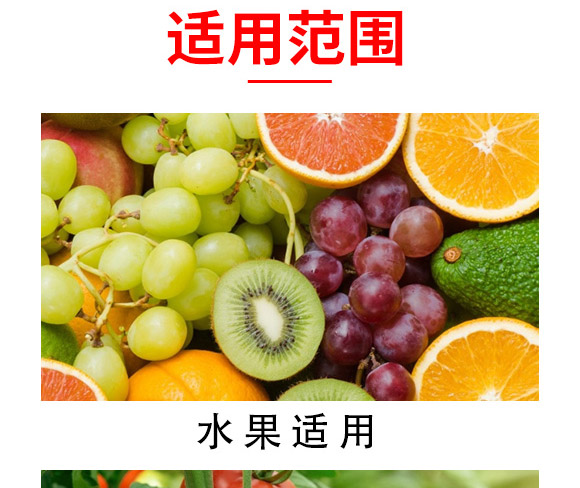 活力素-海法-海法國際