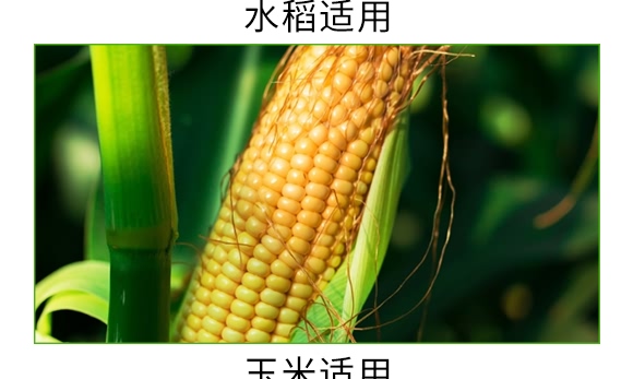 礦源黃腐酸碳酶菌劑-黃立翠-廣宇通 礦源黃腐酸碳酶菌劑-黃立翠-廣宇通