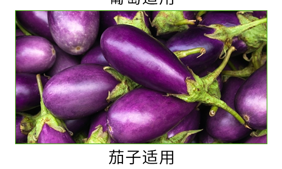 螯合中微量微生物菌劑-碳戀-廣宇通 螯合中微量微生物菌劑-碳戀-廣宇通