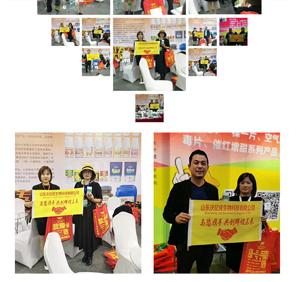 高效大棚專用降溫劑-利涼-沃億佳