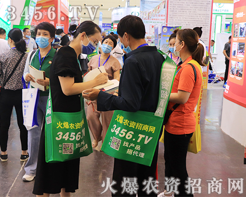 �����������w�P��2020��ԭ���ϕ������r�Y�W���ڶ��s��