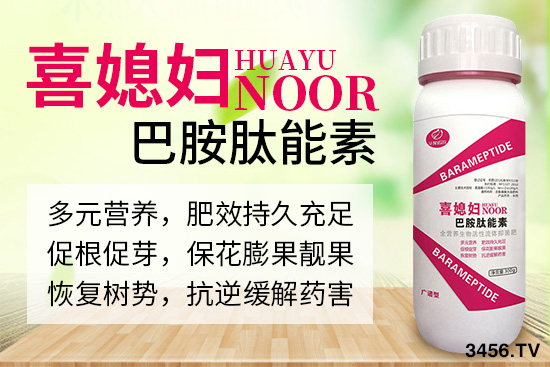 諾爾生物技術有限公司主營哪些產品? 諾爾生物技術有限公司主營哪些產品?