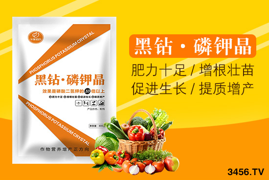 諾爾生物技術有限公司主營哪些產品? 諾爾生物技術有限公司主營哪些產品?