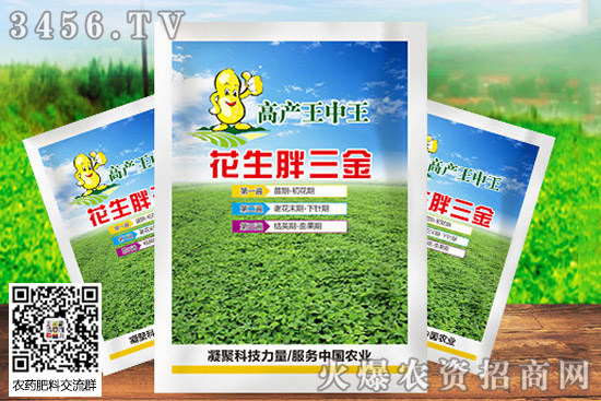 立秋后花生打矮壯素嗎 花生矮壯素啥時(shí)用合適 立秋后花生打矮壯素嗎 花生矮壯素啥時(shí)用合適