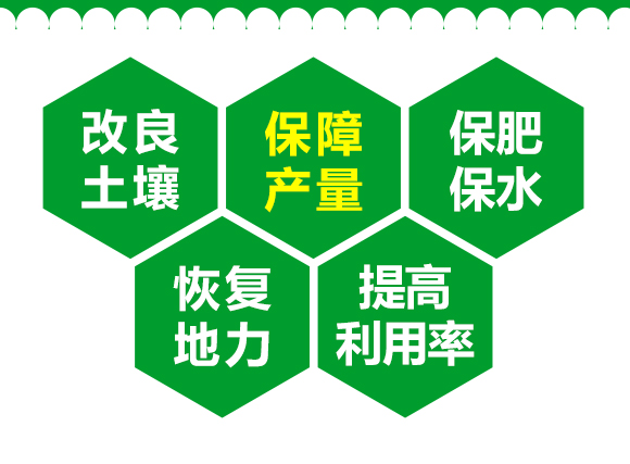 生物有機肥-果蔬8+2-先豐達