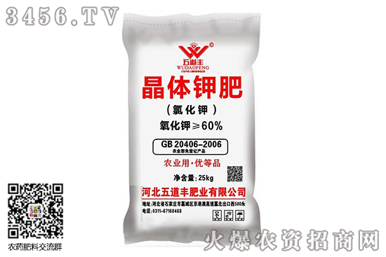 ⛷��Ј�(ch��ng)�S������(sh��)��2020-8-1⛷ʃr(ji��)����?q��ng)?b��o)