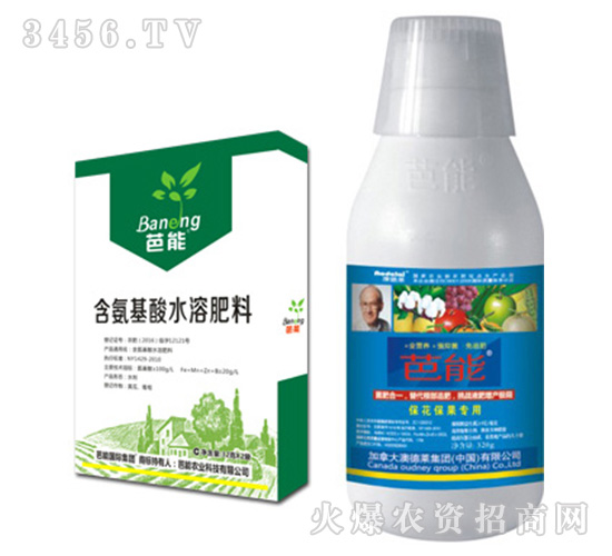 ����������ʲô�{(di��o)��(ji��)������