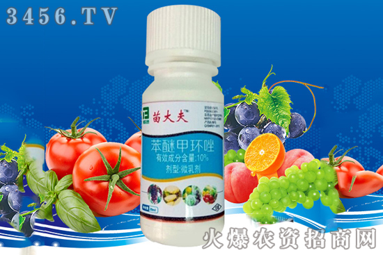 �@�Nˎ����40��N�������r(n��ng)�������������������һ�ι�һ������