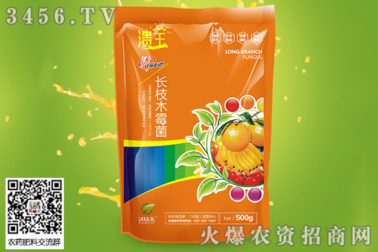 �ְ߲���ʲôˎ����