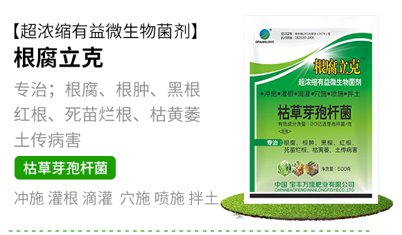 瀹濅赴涓囬殕鑲ヤ笟鏈夐檺鍏徃(鏍硅厫绔嬪厠)_03.jpg 瀹濅赴涓囬殕鑲ヤ笟鏈夐檺鍏徃(鏍硅厫绔嬪厠)_03.jpg