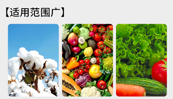 瀹濅赴涓囬殕鑲ヤ笟鏈夐檺鍏徃(鏍硅厫绔嬪厠)_04.jpg 瀹濅赴涓囬殕鑲ヤ笟鏈夐檺鍏徃(鏍硅厫绔嬪厠)_04.jpg