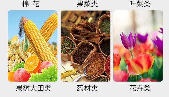 瀹濅赴涓囬殕鑲ヤ笟鏈夐檺鍏徃(鏍硅厫绔嬪厠)_05.jpg 瀹濅赴涓囬殕鑲ヤ笟鏈夐檺鍏徃(鏍硅厫绔嬪厠)_05.jpg