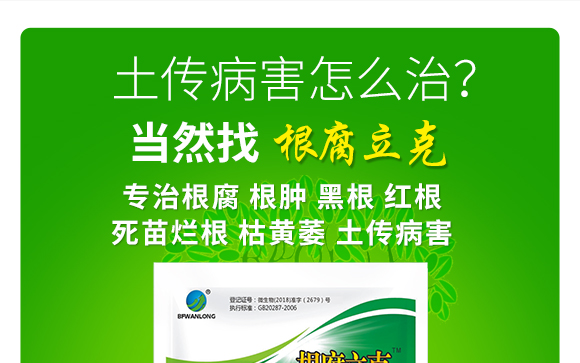 瀹濅赴涓囬殕鑲ヤ笟鏈夐檺鍏徃(鏍硅厫绔嬪厠)_06.jpg 瀹濅赴涓囬殕鑲ヤ笟鏈夐檺鍏徃(鏍硅厫绔嬪厠)_06.jpg