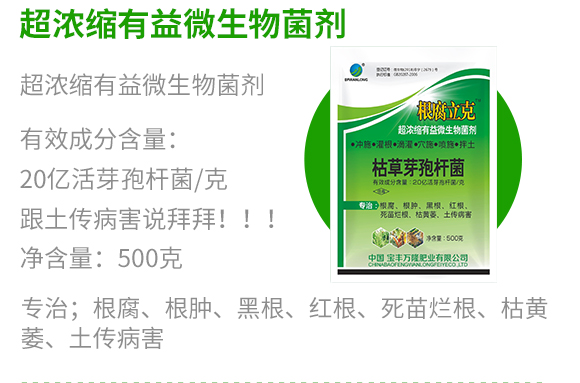 瀹濅赴涓囬殕鑲ヤ笟鏈夐檺鍏徃(鏍硅厫绔嬪厠)_09.jpg 瀹濅赴涓囬殕鑲ヤ笟鏈夐檺鍏徃(鏍硅厫绔嬪厠)_09.jpg