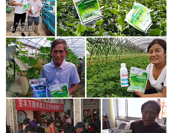 瀹濅赴涓囬殕鑲ヤ笟鏈夐檺鍏徃(鏍硅厫绔嬪厠)_11.jpg 瀹濅赴涓囬殕鑲ヤ笟鏈夐檺鍏徃(鏍硅厫绔嬪厠)_11.jpg