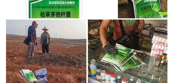 瀹濅赴涓囬殕鑲ヤ笟鏈夐檺鍏徃(鏍硅厫绔嬪厠)_13.jpg 瀹濅赴涓囬殕鑲ヤ笟鏈夐檺鍏徃(鏍硅厫绔嬪厠)_13.jpg