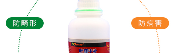 �ͺ��Ǵ��}-�~�����a-�°��~��