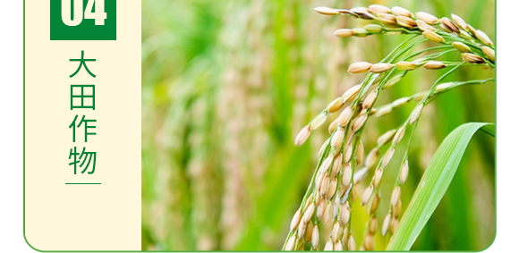 �ͺ��Ǵ��}-�~�����a-�°��~��