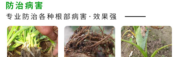 微生物菌劑（專(zhuān)注防治根部病害）-根本根-薩林農(nóng)業(yè)