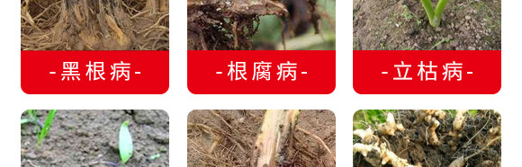 微生物菌劑（專(zhuān)注防治根部病害）-根本根-薩林農(nóng)業(yè)