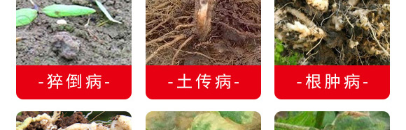 微生物菌劑（專(zhuān)注防治根部病害）-根本根-薩林農(nóng)業(yè)