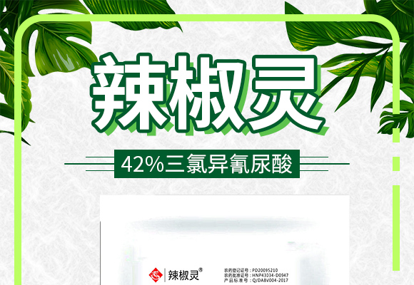 42%涓夋隘寮傛鞍灝塊吀-杈f鐏礯01.jpg 42%涓夋隘寮傛鞍灝塊吀-杈f鐏礯01.jpg