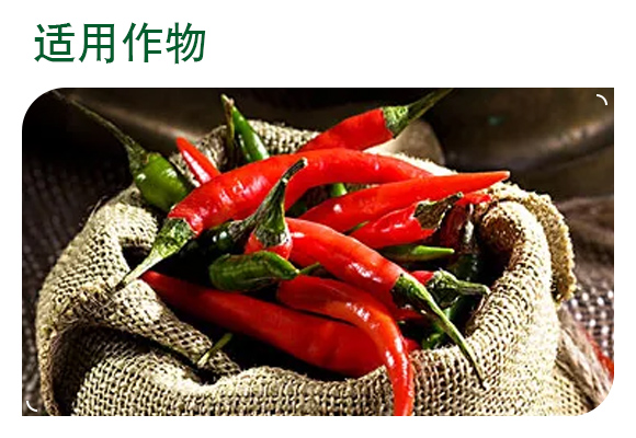 42%涓夋隘寮傛鞍灝塊吀-杈f鐏礯04.jpg 42%涓夋隘寮傛鞍灝塊吀-杈f鐏礯04.jpg