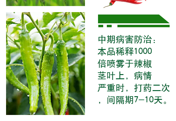 42%涓夋隘寮傛鞍灝塊吀-杈f鐏礯06.jpg 42%涓夋隘寮傛鞍灝塊吀-杈f鐏礯06.jpg