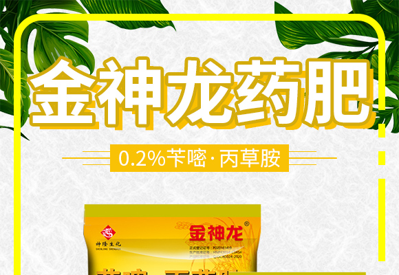 閲戠榫欒嵂鑲?鏍肩伒縐戞妧_01.jpg 閲戠榫欒嵂鑲?鏍肩伒縐戞妧_01.jpg