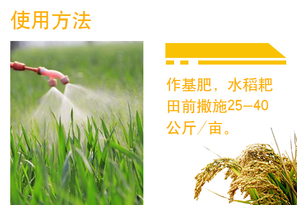 閲戠榫欒嵂鑲?鏍肩伒縐戞妧_05.jpg 閲戠榫欒嵂鑲?鏍肩伒縐戞妧_05.jpg