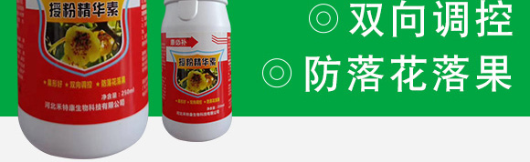 授粉精華素-康必補-禾特康