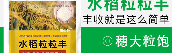 水稻粒粒豐-康必補(bǔ)-禾特康