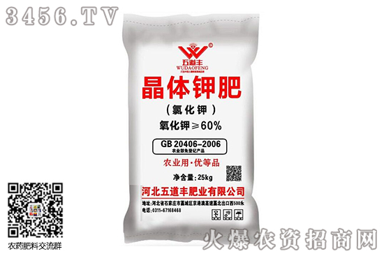 ⛷ʃr��(w��n)��������2020-9-21����⛷ʃr���r