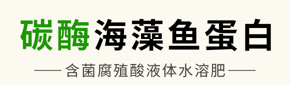 ̼ø�������~(y��)����-��������