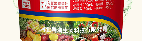 ̼ø�������~(y��)����-��������